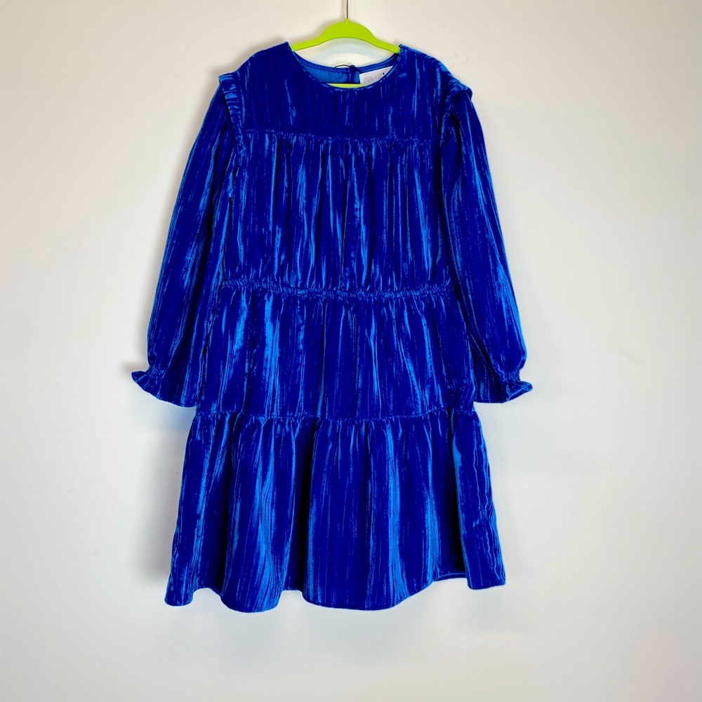 Blue Velvet Kid’s Zara dress